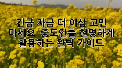 긴급 자금, 더 이상 고민 마세요! 💰 중도인출, 현명하게 활용하는 완벽 가이드 💡