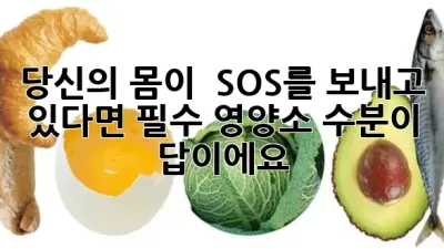 당신의 몸이 🚨 SOS를 보내고 있다면? 필수 영양소, 수분이 답이에요! 💧