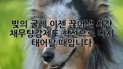 빚의 굴레, 이젠 끊어낼 시간! 🔮 채무탕감제도, 혁신으로 다시 태어날 때입니다! 🚀