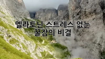 멜라토닌: 스트레스 없는 꿀잠의 비결! 🌙