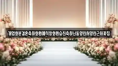 개업화분결혼축하화환예식장화환승진축하난동양란서양란근처꽃집