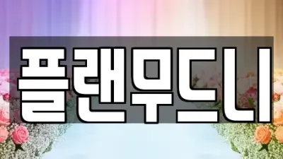 대전 유성구 장동 웨딩컨설팅 상담 11